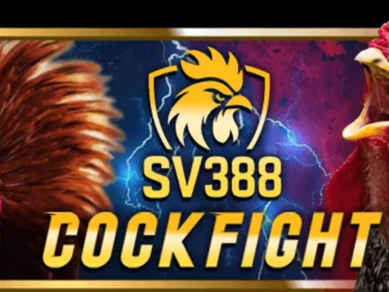 Đá gà trực tuyến TT88 com với sàn đấu